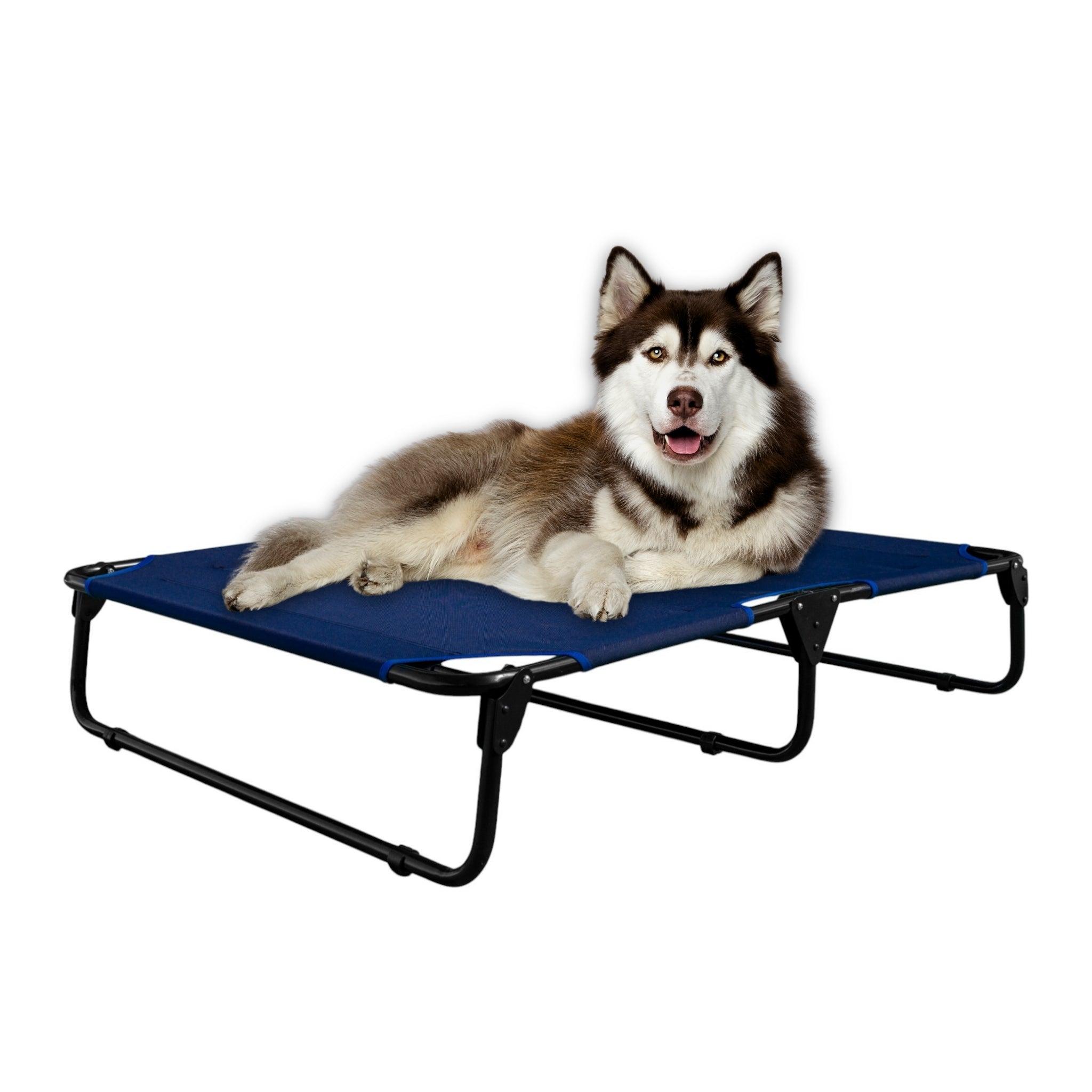 PEGASO Cama Elevada para Perro tamaño Extra Grande, 122x92x18 cm (Mod KM-EG)