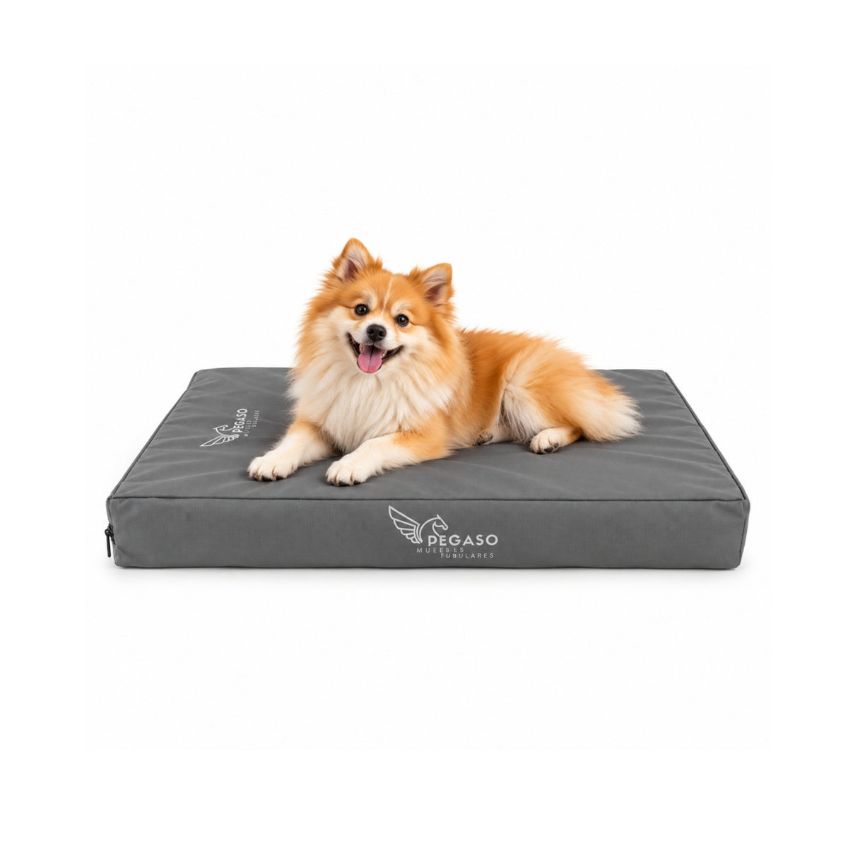 PEGASO Colchón para Mascota, Lona de Alta Resistencia, Impermeable, con cierre, 8 cm Grosor (CH, MD, GD, EG)