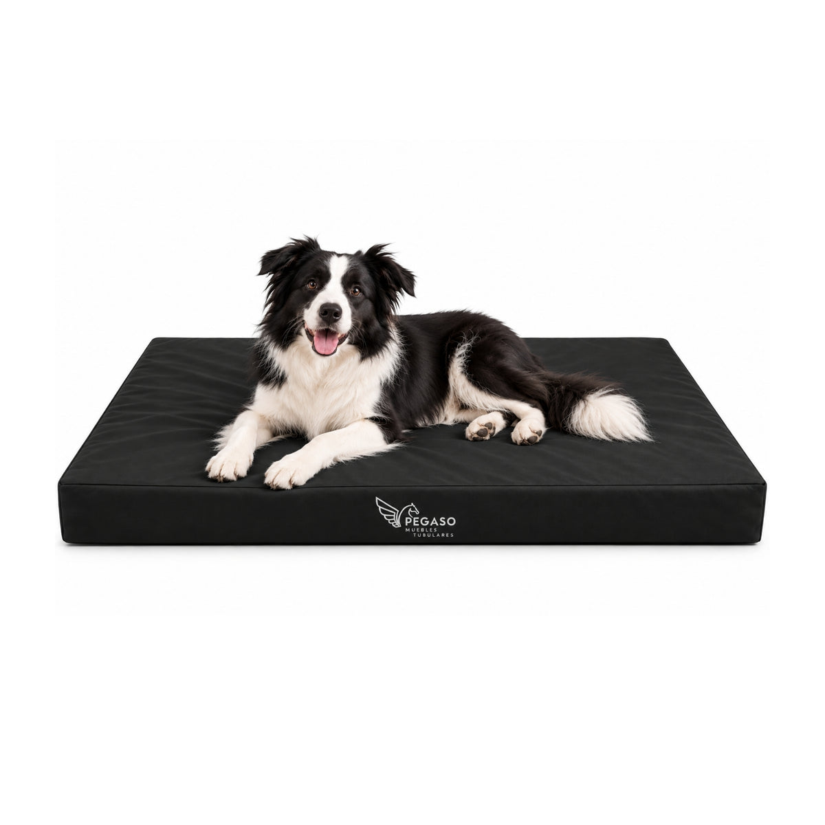 PEGASO Colchón para Mascota, Lona de Alta Resistencia, Impermeable, con cierre, 8 cm Grosor (CH, MD, GD, EG)