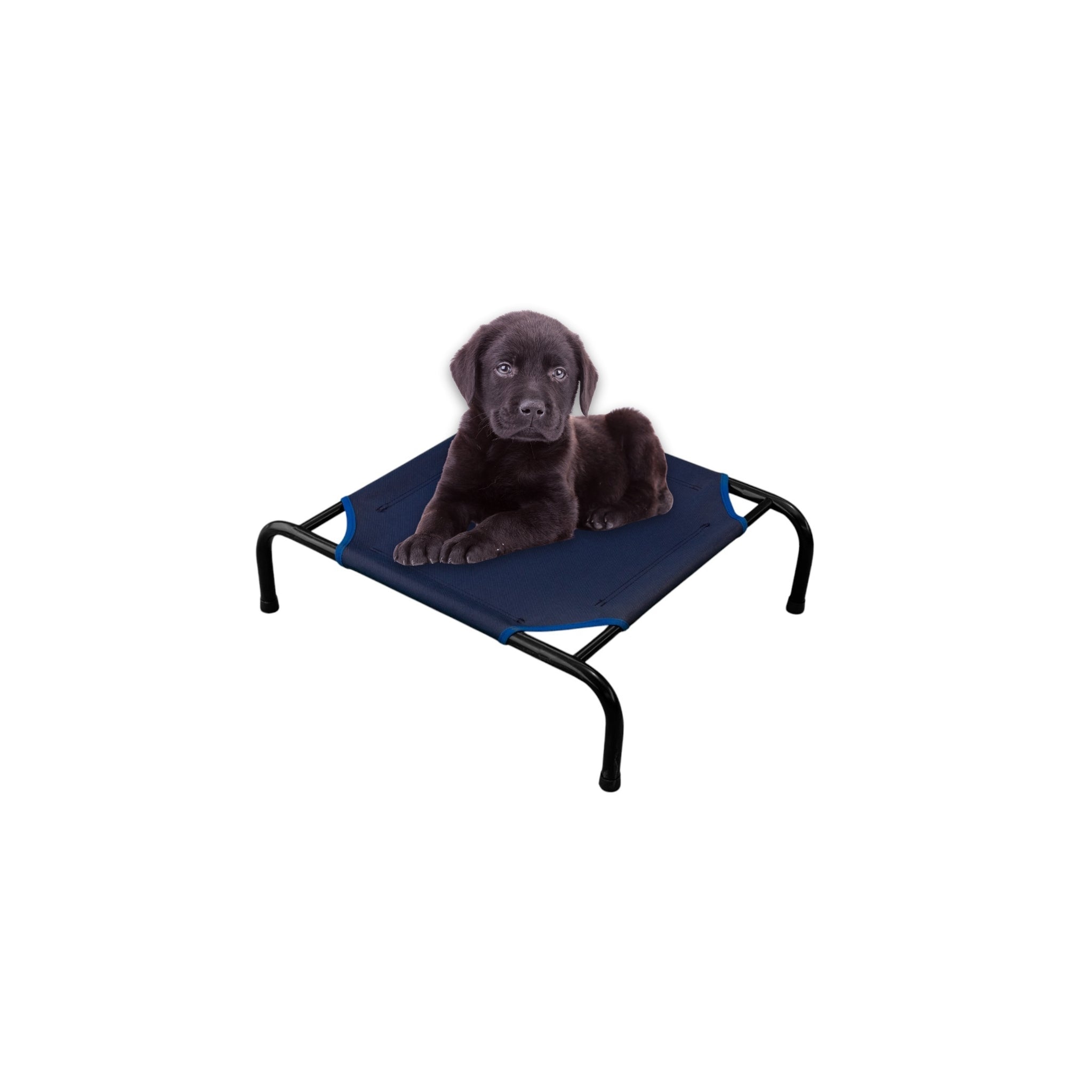 Cama Elevada para Perro tamaño Chico, Desarmable (KM-CH-DES)