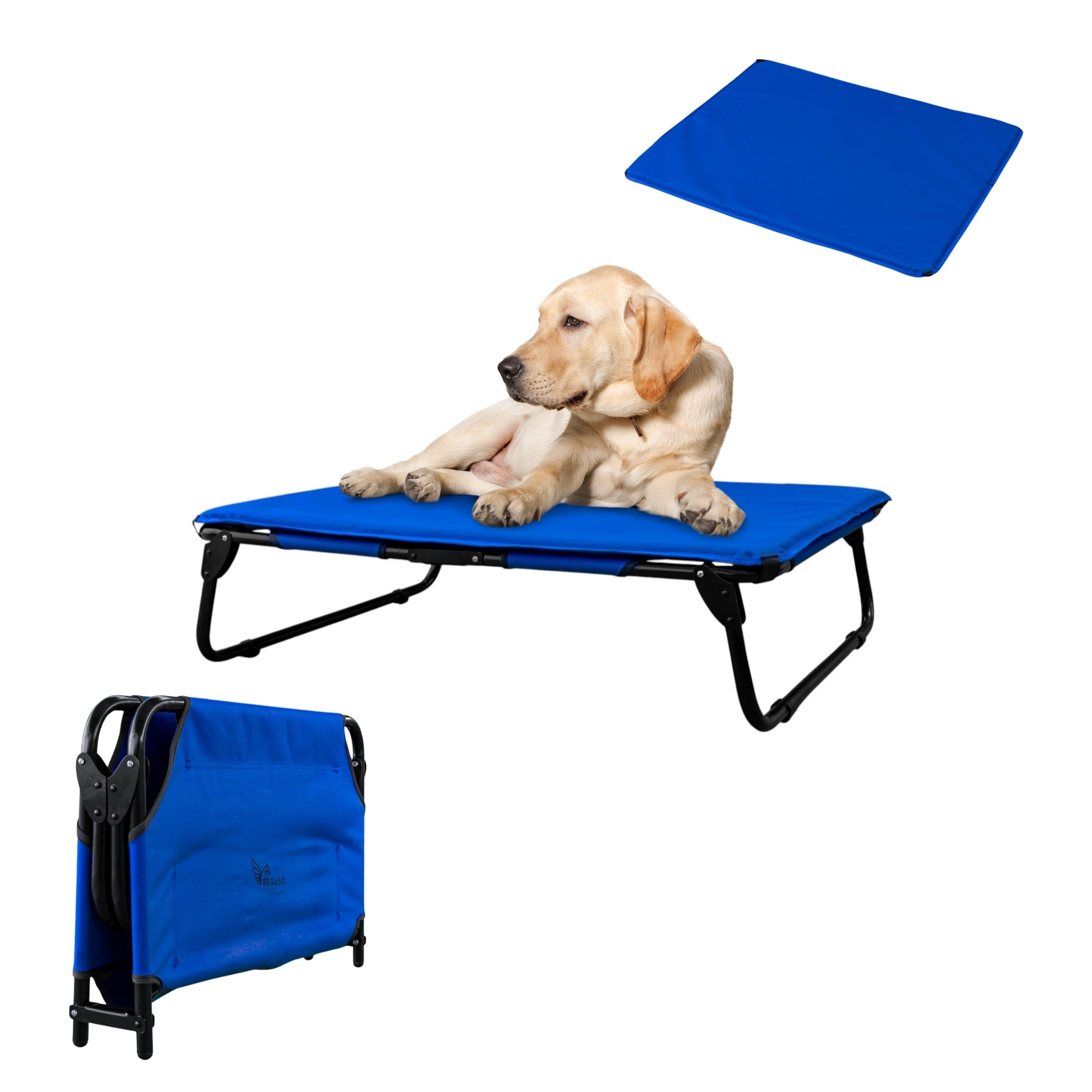 PEGASO KIT Bed/Cot + Large Dog Mat, 92.5 x 75 x 18 cm (Mod KM-GD)