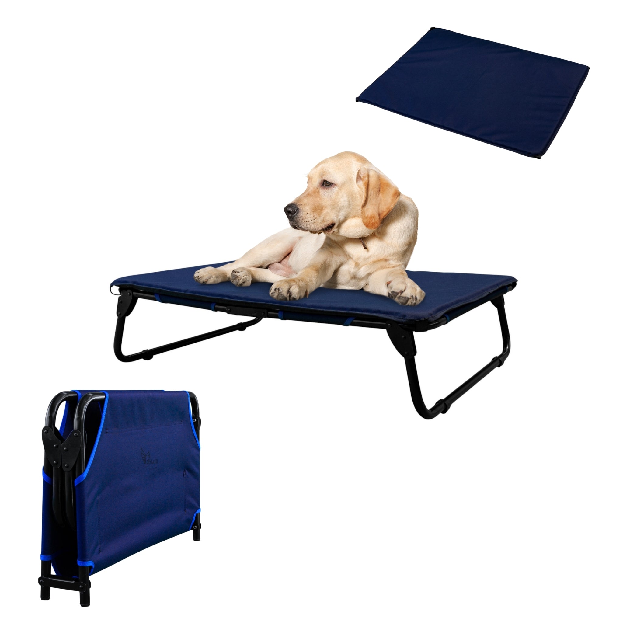 PEGASO KIT Cama/Catre + Colchoneta para Perro tamaño Grande, 92.5 x 75 x 18 cm (Mod KM-GD)