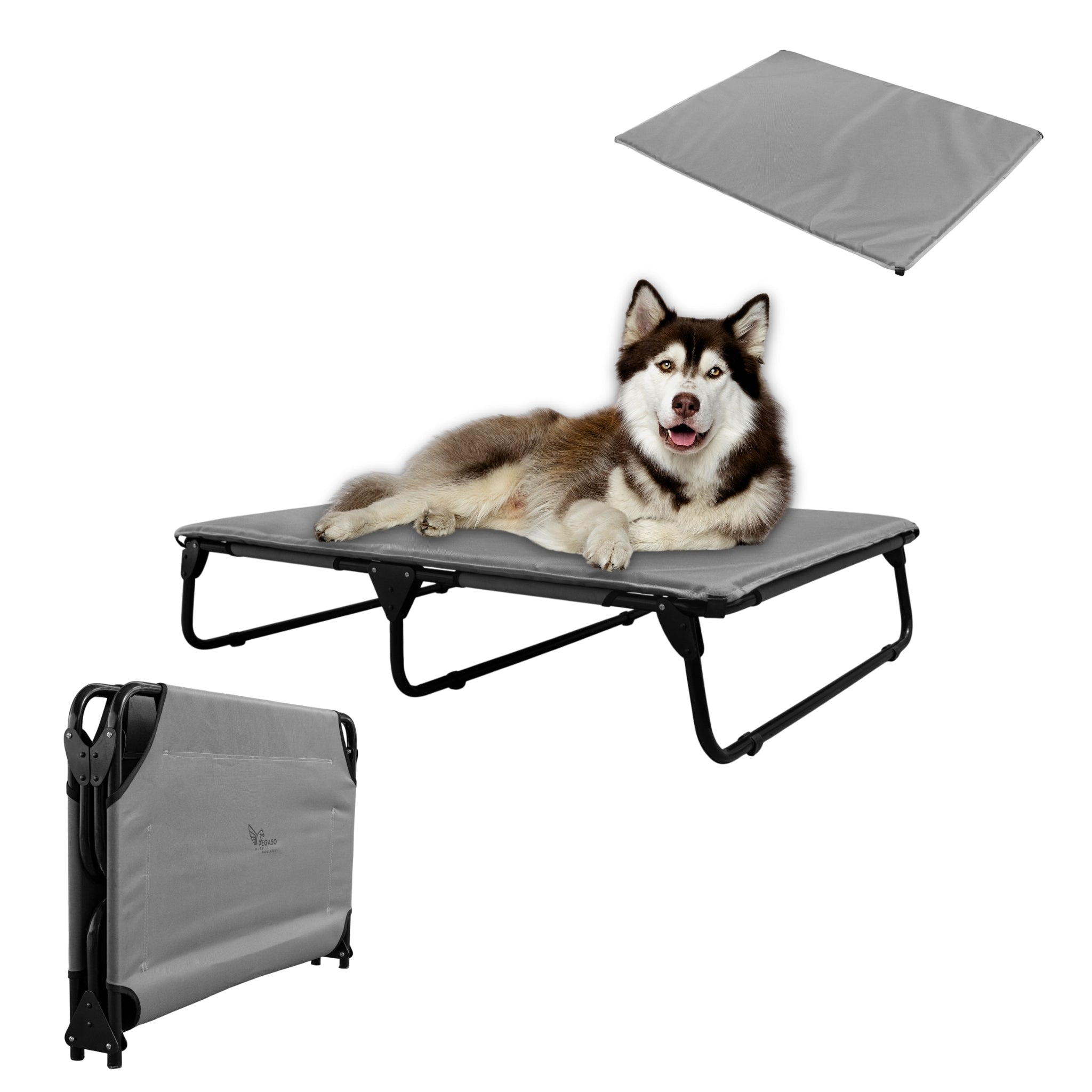 PEGASO KIT Cama/Catre + Colchoneta para Perro tamaño Extra Grande, 122x92x18 cm (Mod KM-EG)