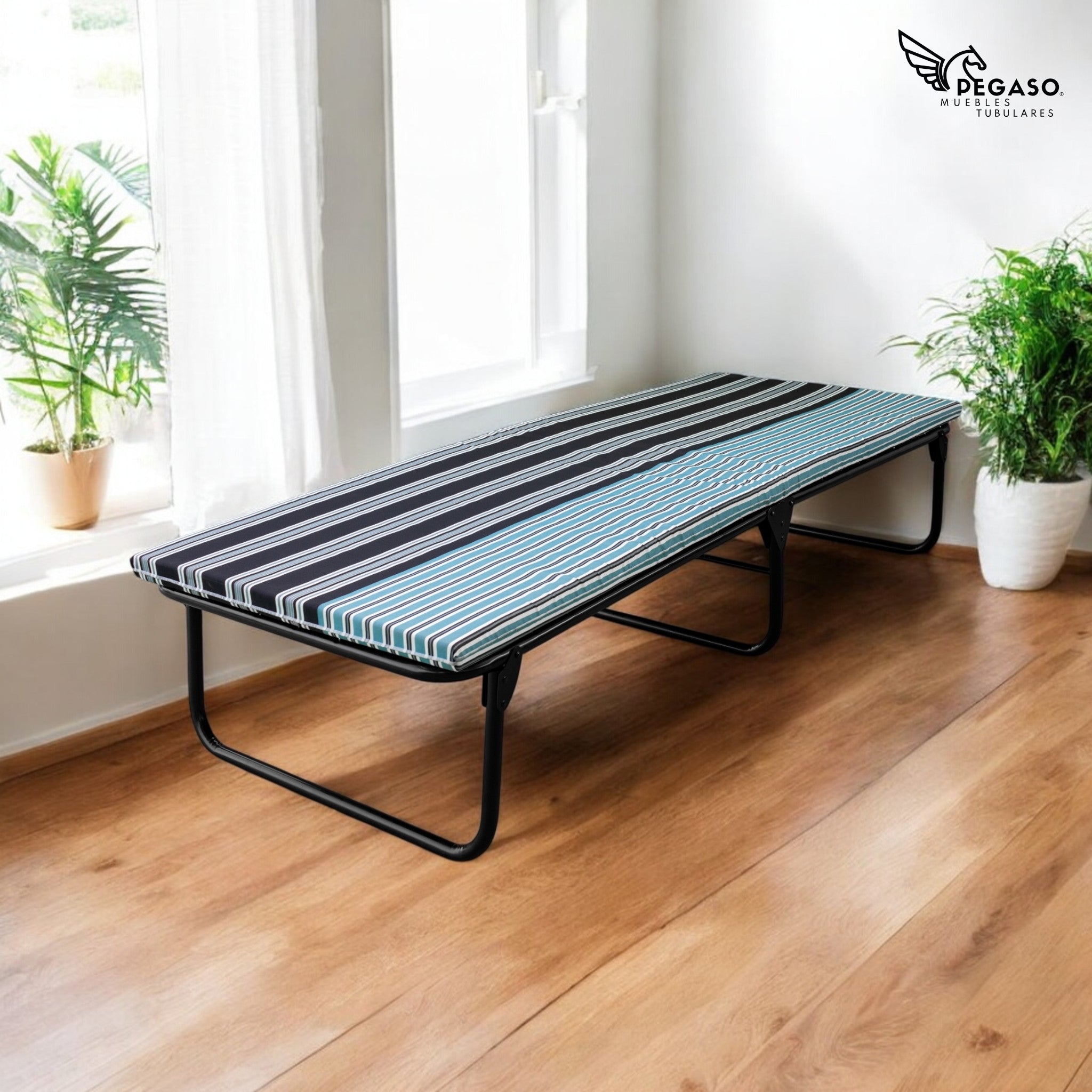 Colchoneta para Catre Pegaso / Hule Espuma 4 cm