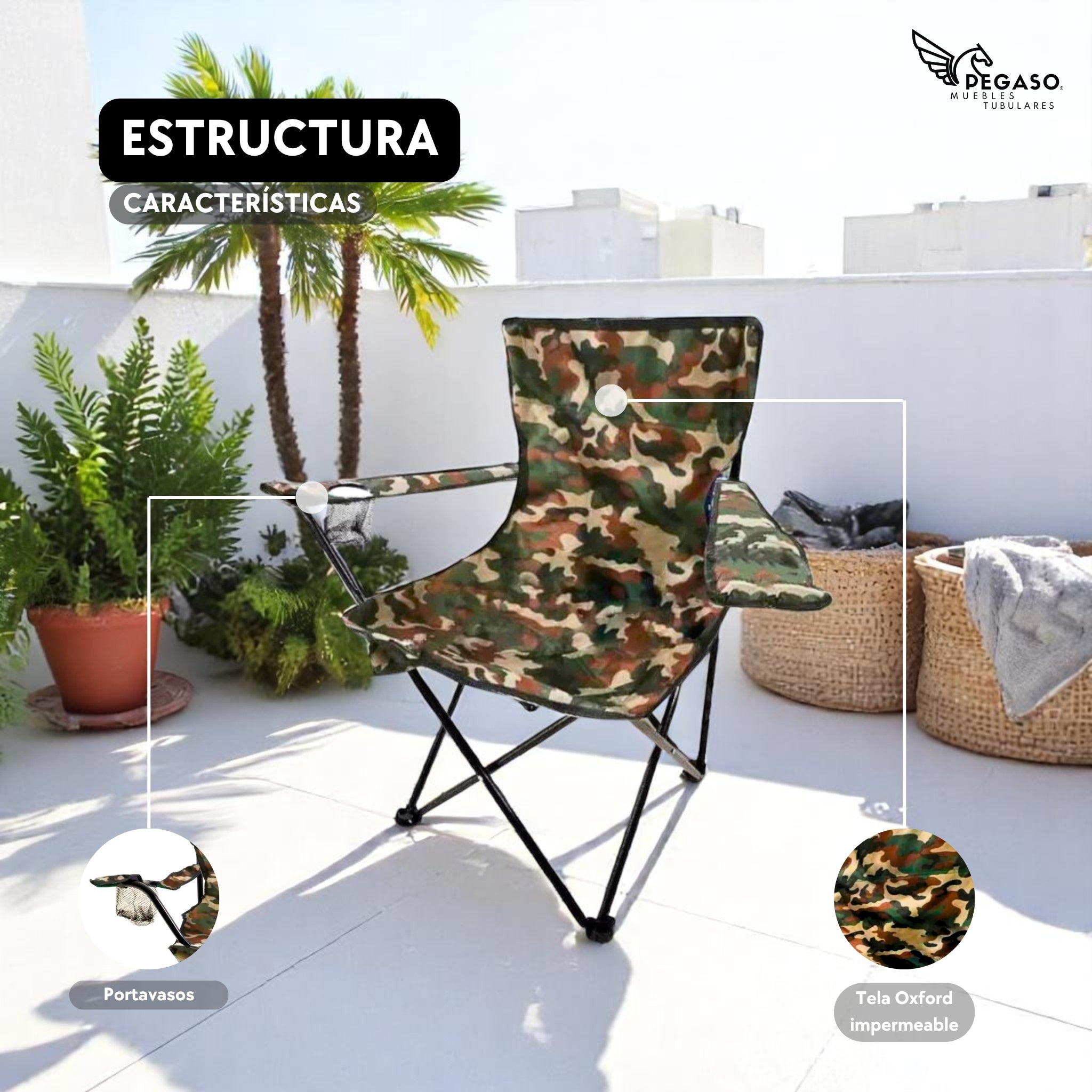 Camping / Beach Chair + Bag