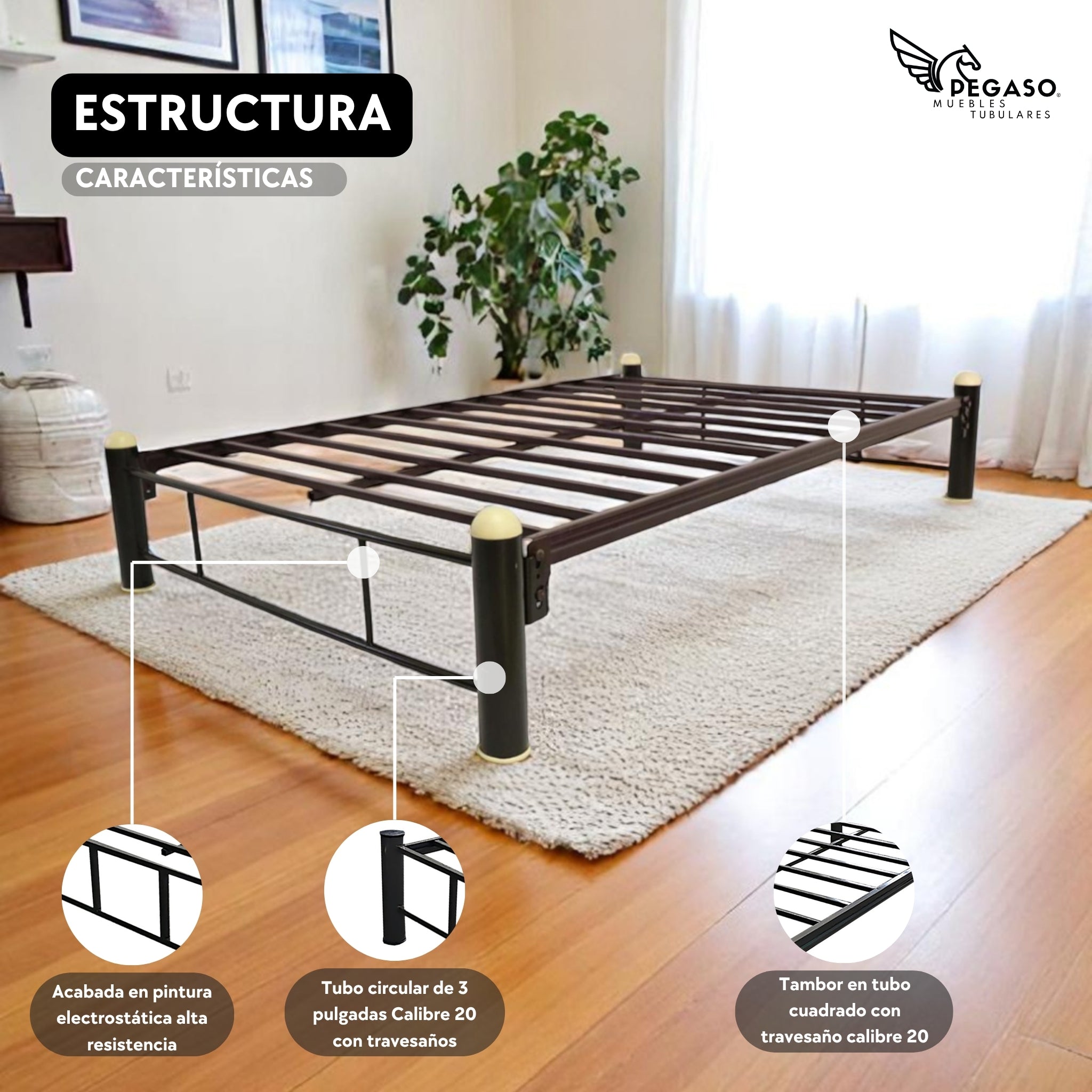 Base Individual Pegaso – Practica