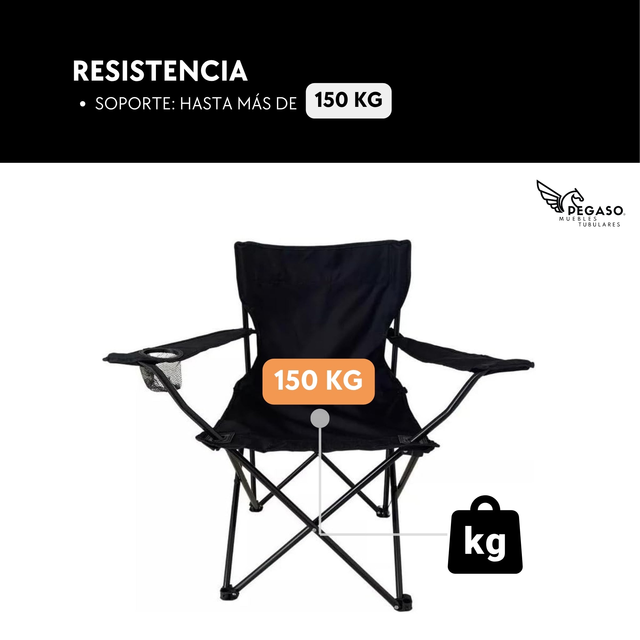 Camping / Beach Chair + Bag