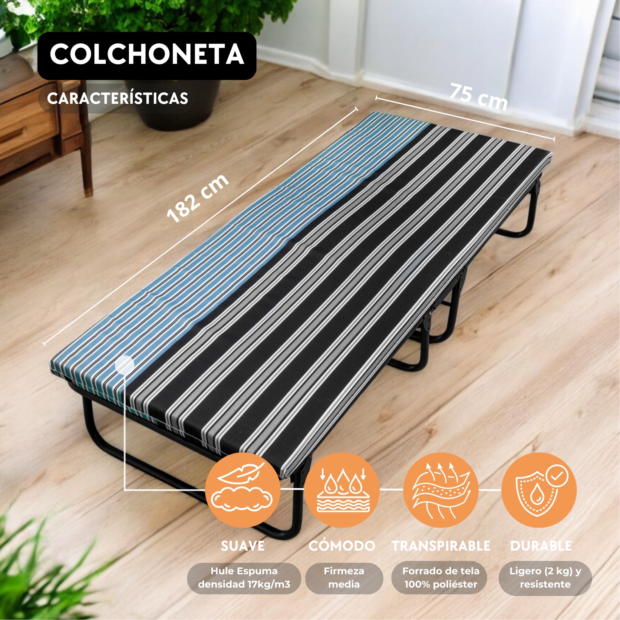 Colchoneta para Catre / Hule Espuma 6 cm