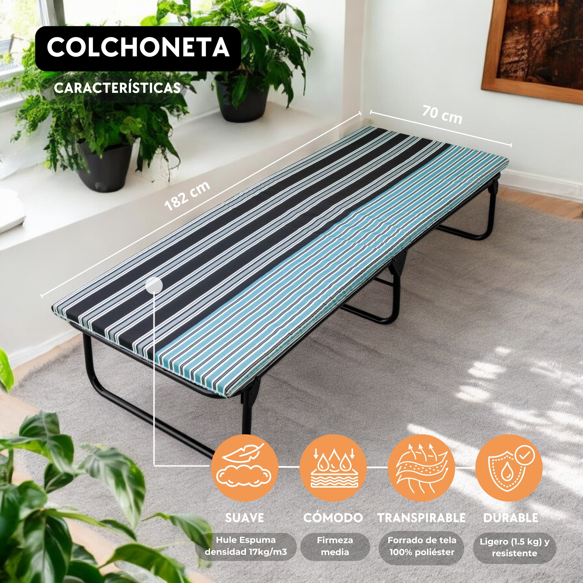 Colchoneta para Catre Pegaso / Hule Espuma 4 cm