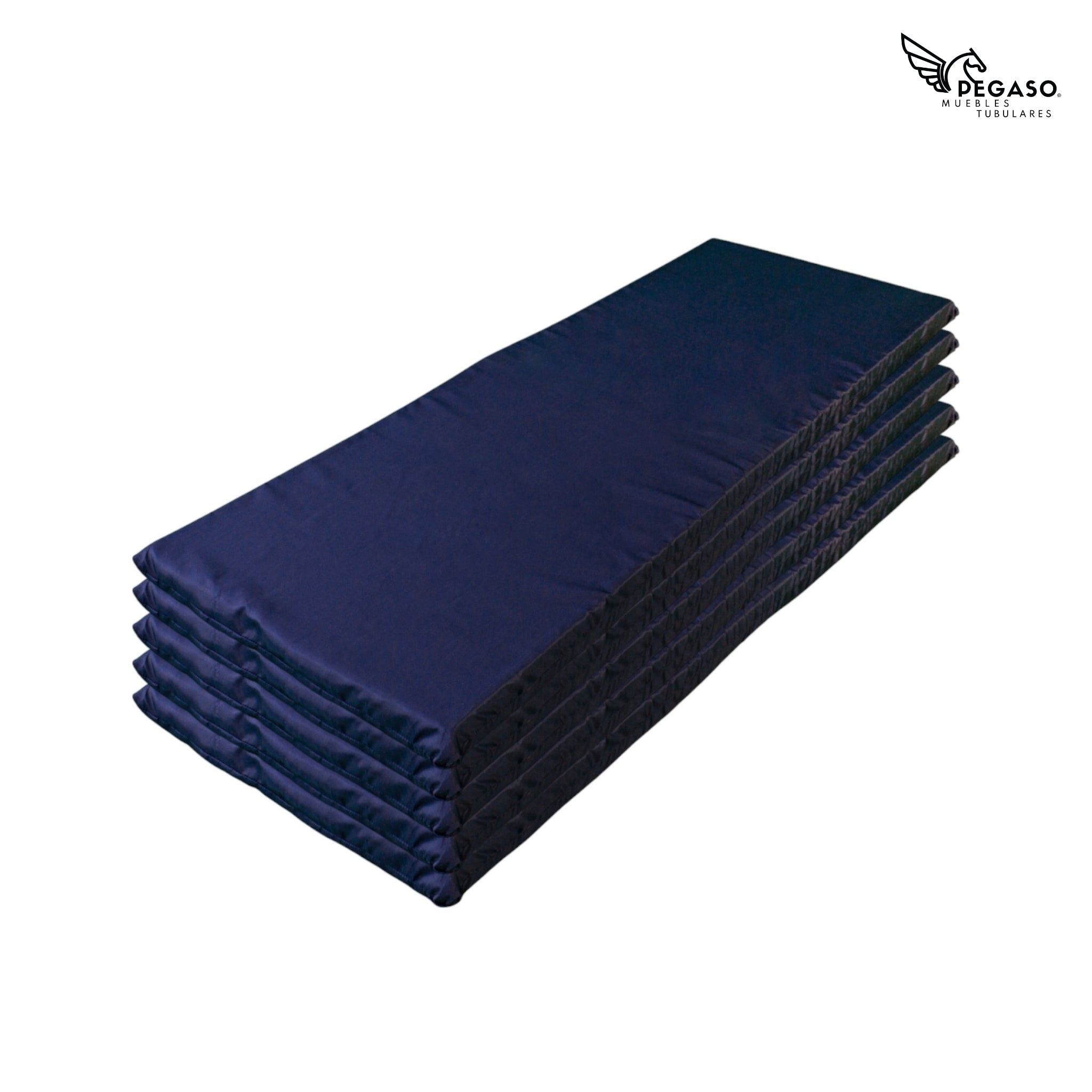 Colchoneta Para Albergue C/cierre Hule Espuma 7cm Pegaso
