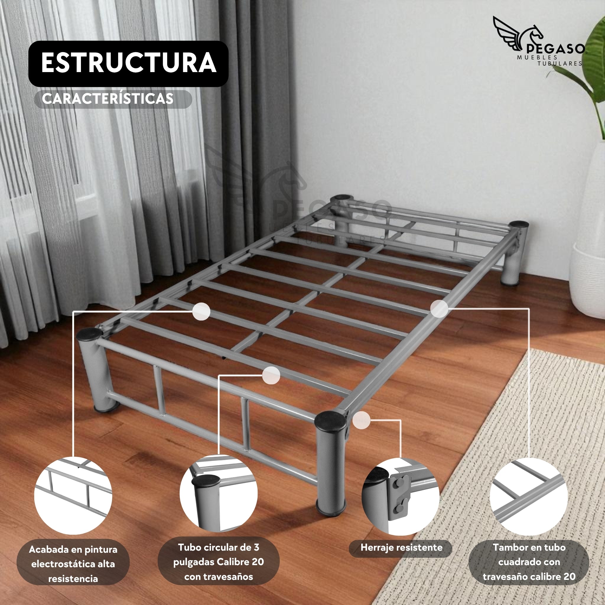 Base Individual Pegaso – Practica