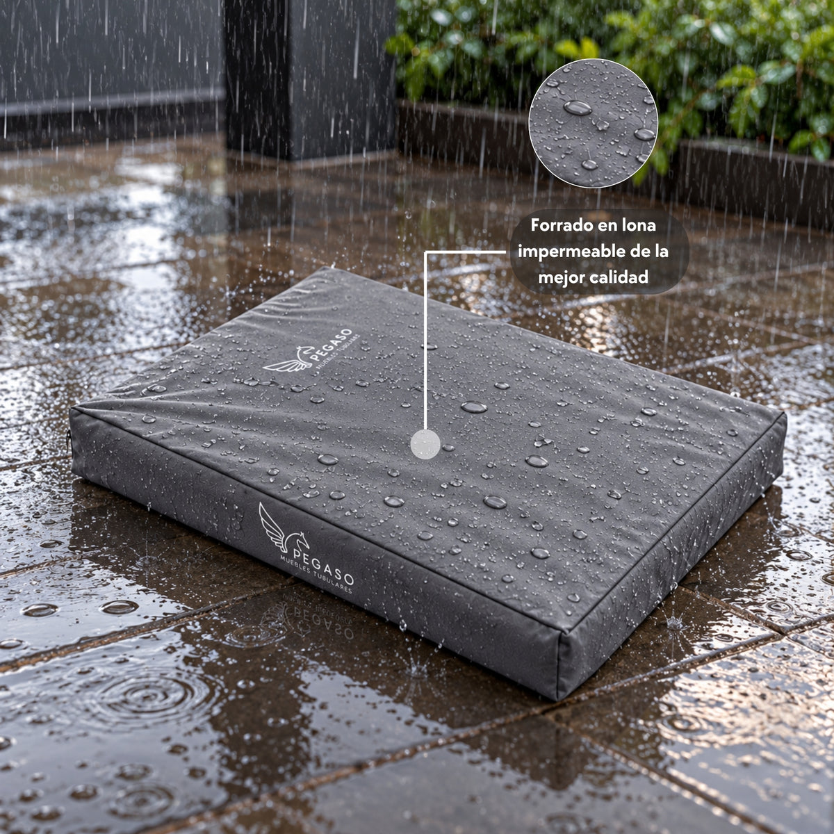 PEGASO Colchón para Mascota, Lona de Alta Resistencia, Impermeable, con cierre, 8 cm Grosor (CH, MD, GD, EG)