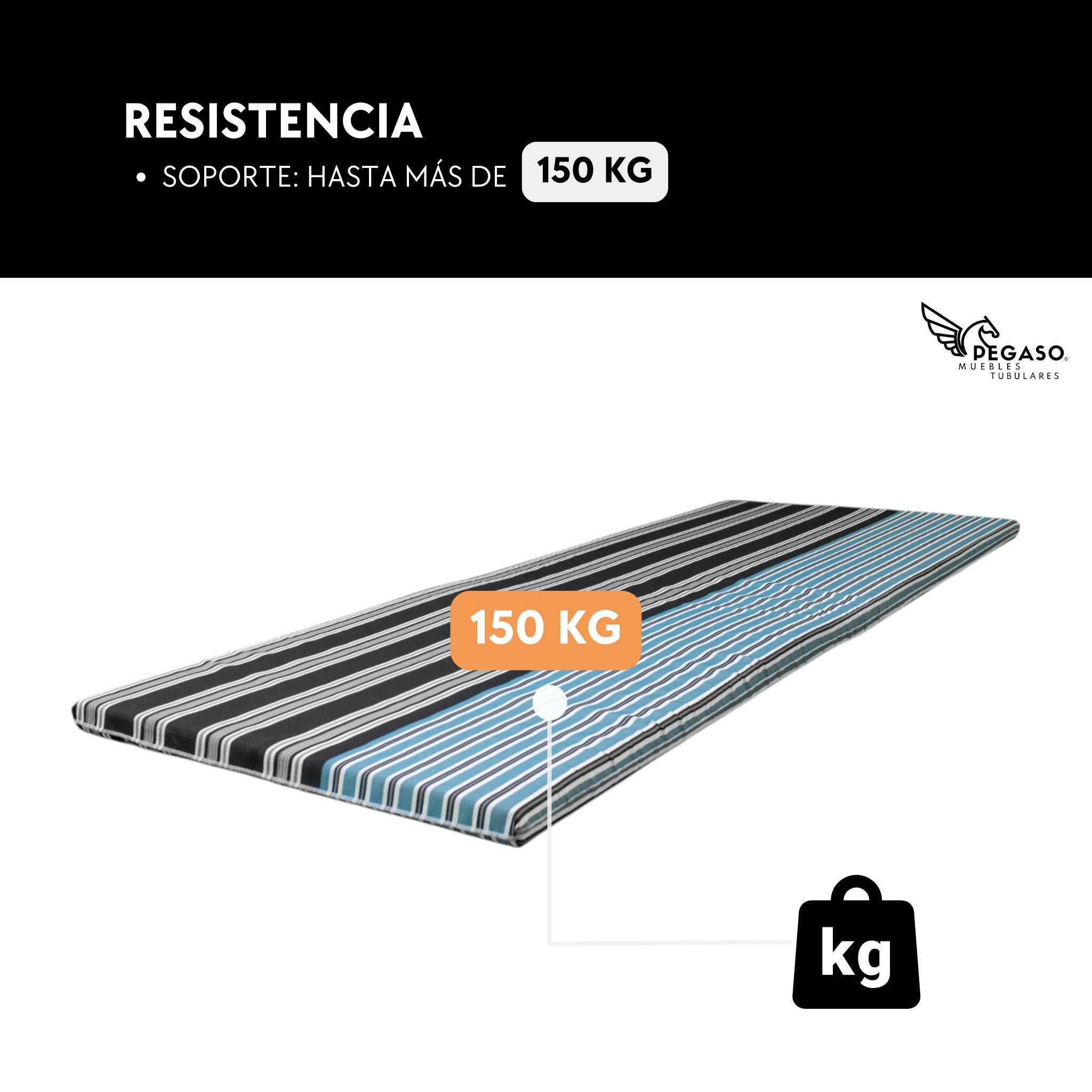 Colchoneta para Catre Pegaso / Hule Espuma 4 cm