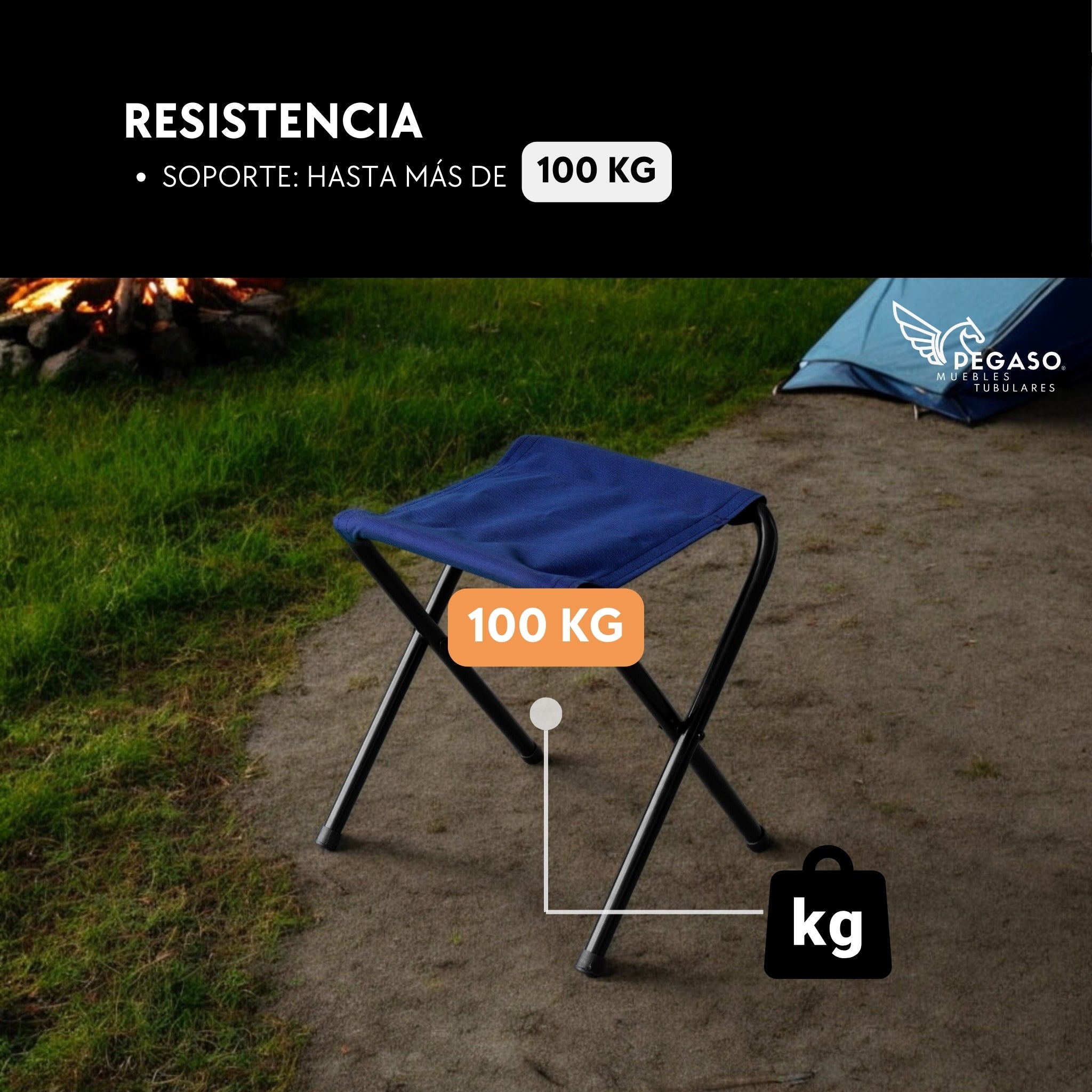 Portable Folding Stool