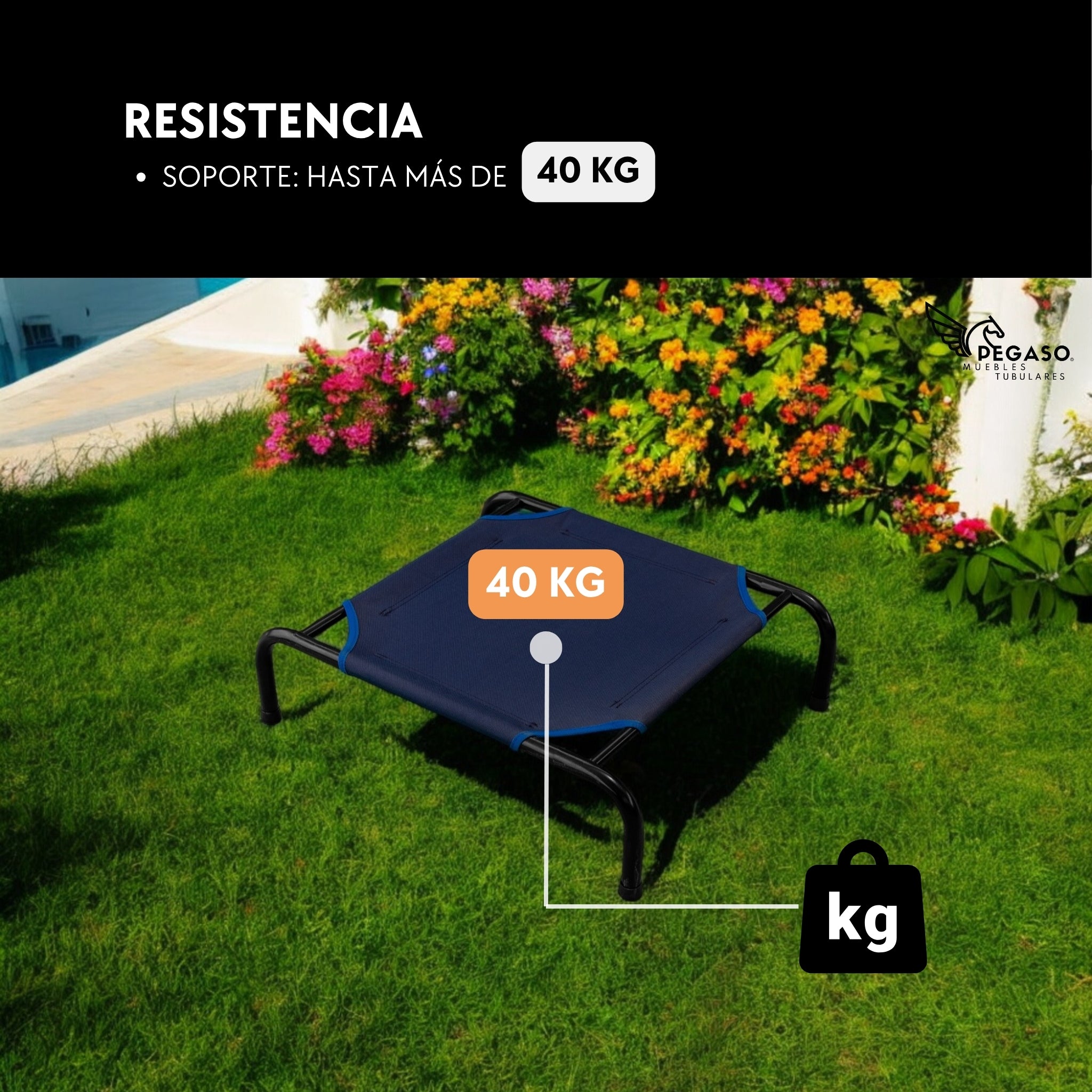 Cama Elevada para Perro tamaño Chico, Desarmable (KM-CH-DES)