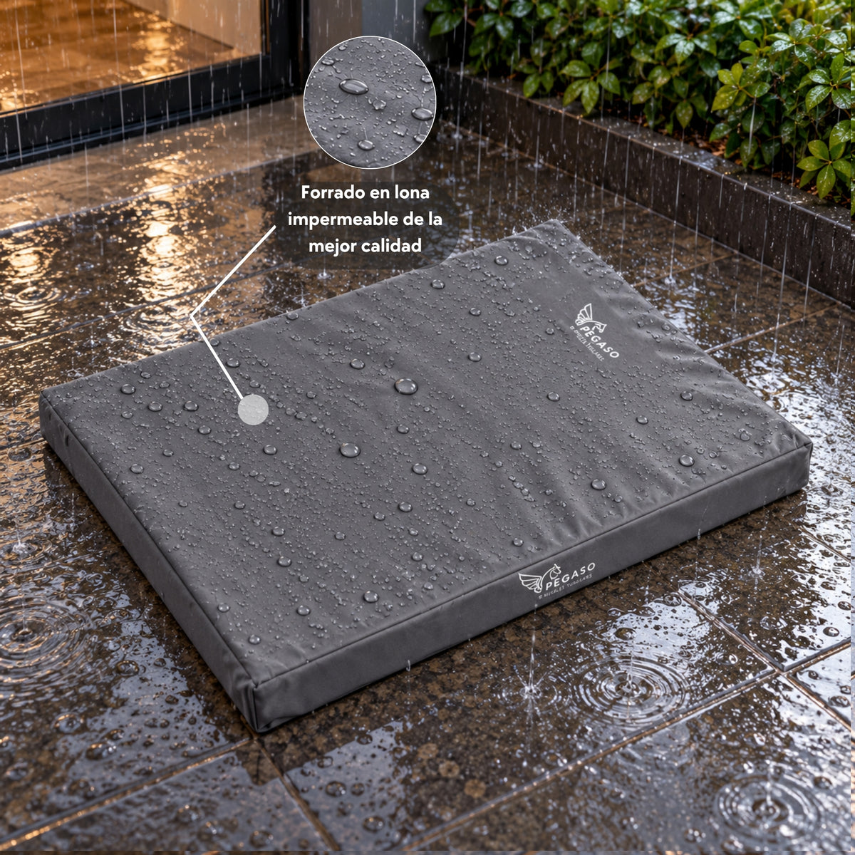 PEGASO Colchón para Mascota, Lona de Alta Resistencia, Impermeable, con cierre, 8 cm Grosor (CH, MD, GD, EG)