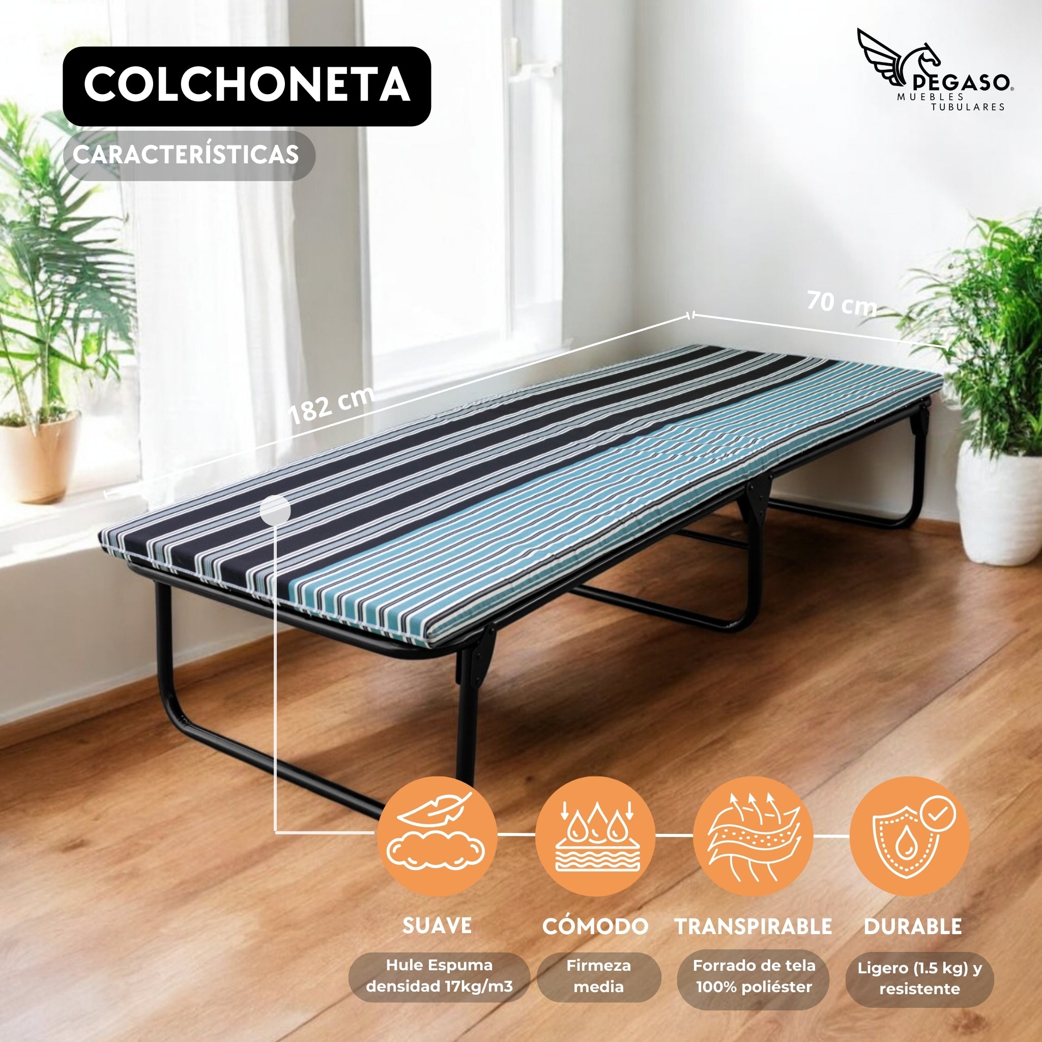 Catre Camastro Plegable / Colchón de Hule Espuma de 4 cm (Mod KM4)