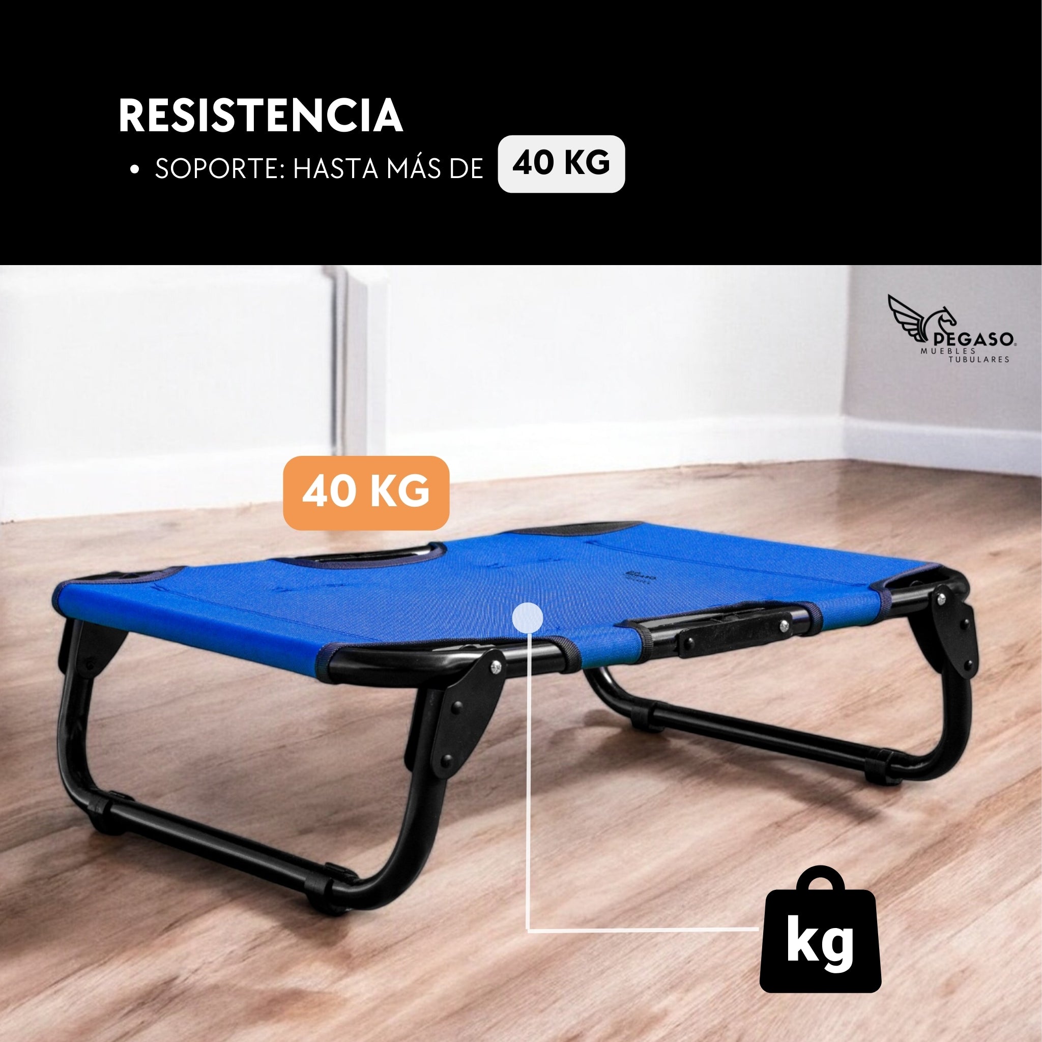 PEGASO Cama Elevada para Perro tamaño Chico, 63x46x18.5 cm (Mod KM-CH)