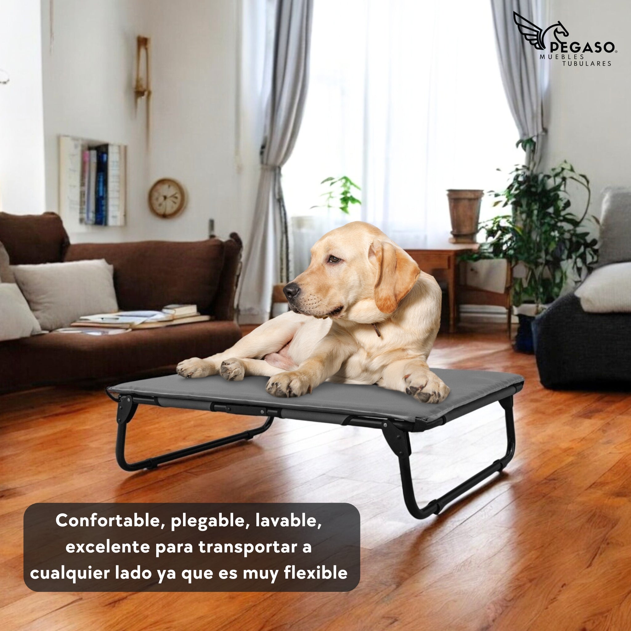 PEGASO KIT Cama/Catre + Colchoneta para Perro tamaño Grande, 92.5 x 75 x 18 cm (Mod KM-GD)