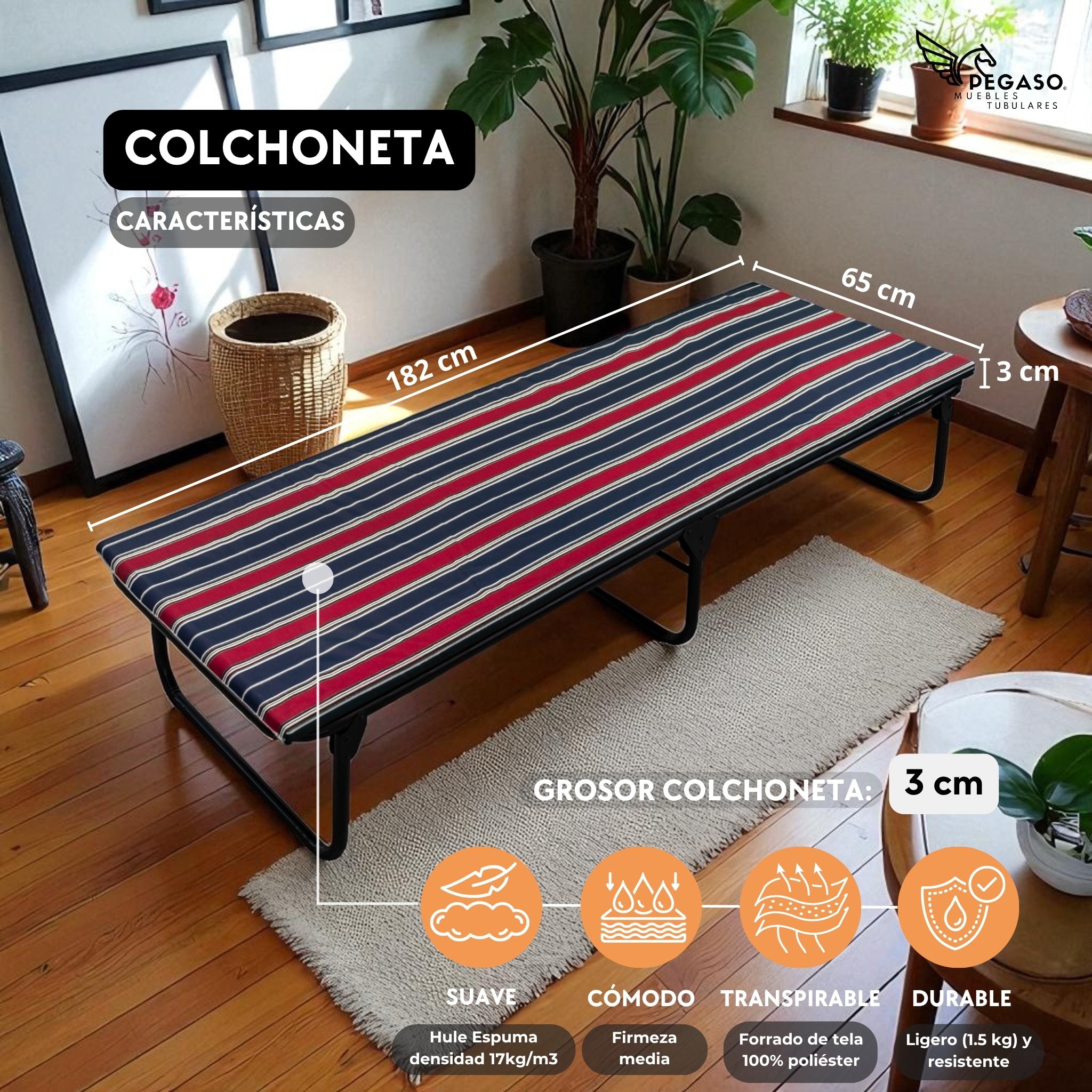 Catre Camastro Plegable / de Lona Reforzada + Colchón de Hule Espuma 3 cm (KSL-H)