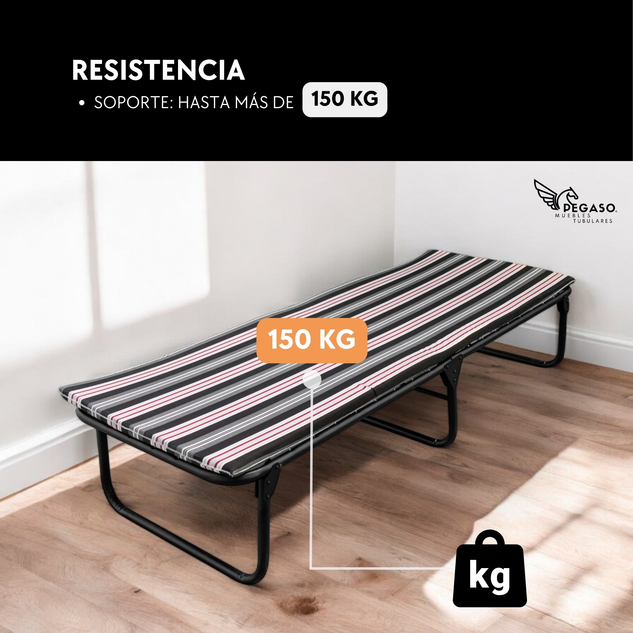Folding Cot Bed / Reinforced Canvas + 3 cm Foam Mattress