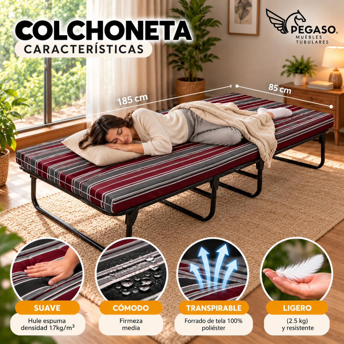 Catre Camastro Plegable con Colchón de Hule espuma de 8 cm (Mod KM8)