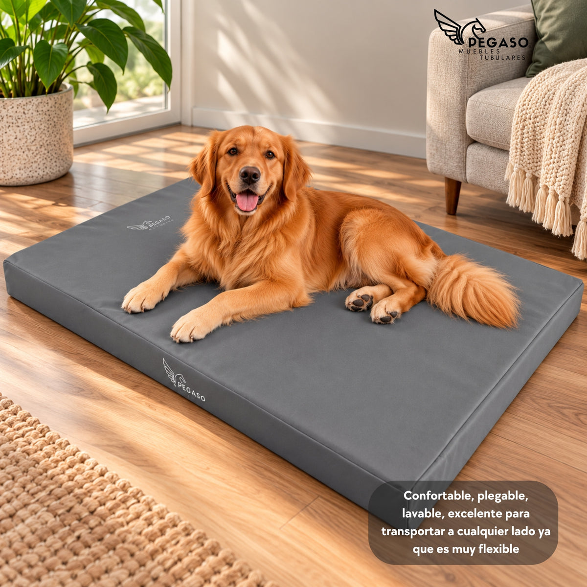 PEGASO Colchón para Mascota, Lona de Alta Resistencia, Impermeable, con cierre, 8 cm Grosor (CH, MD, GD, EG)