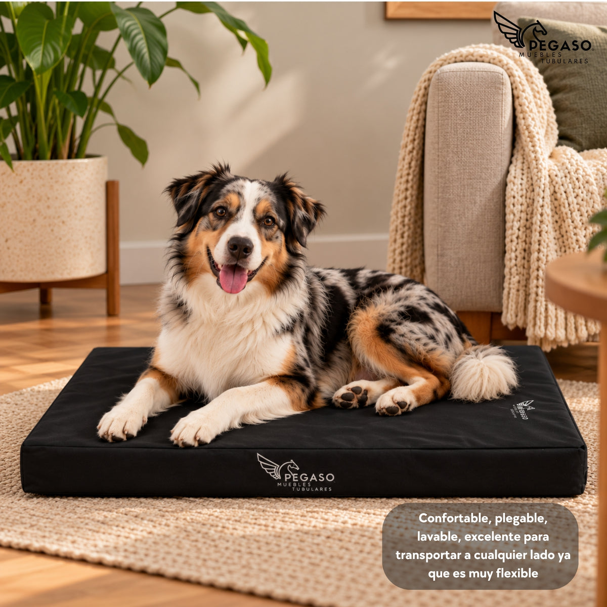 PEGASO Colchón para Mascota, Lona de Alta Resistencia, Impermeable, con cierre, 8 cm Grosor (CH, MD, GD, EG)
