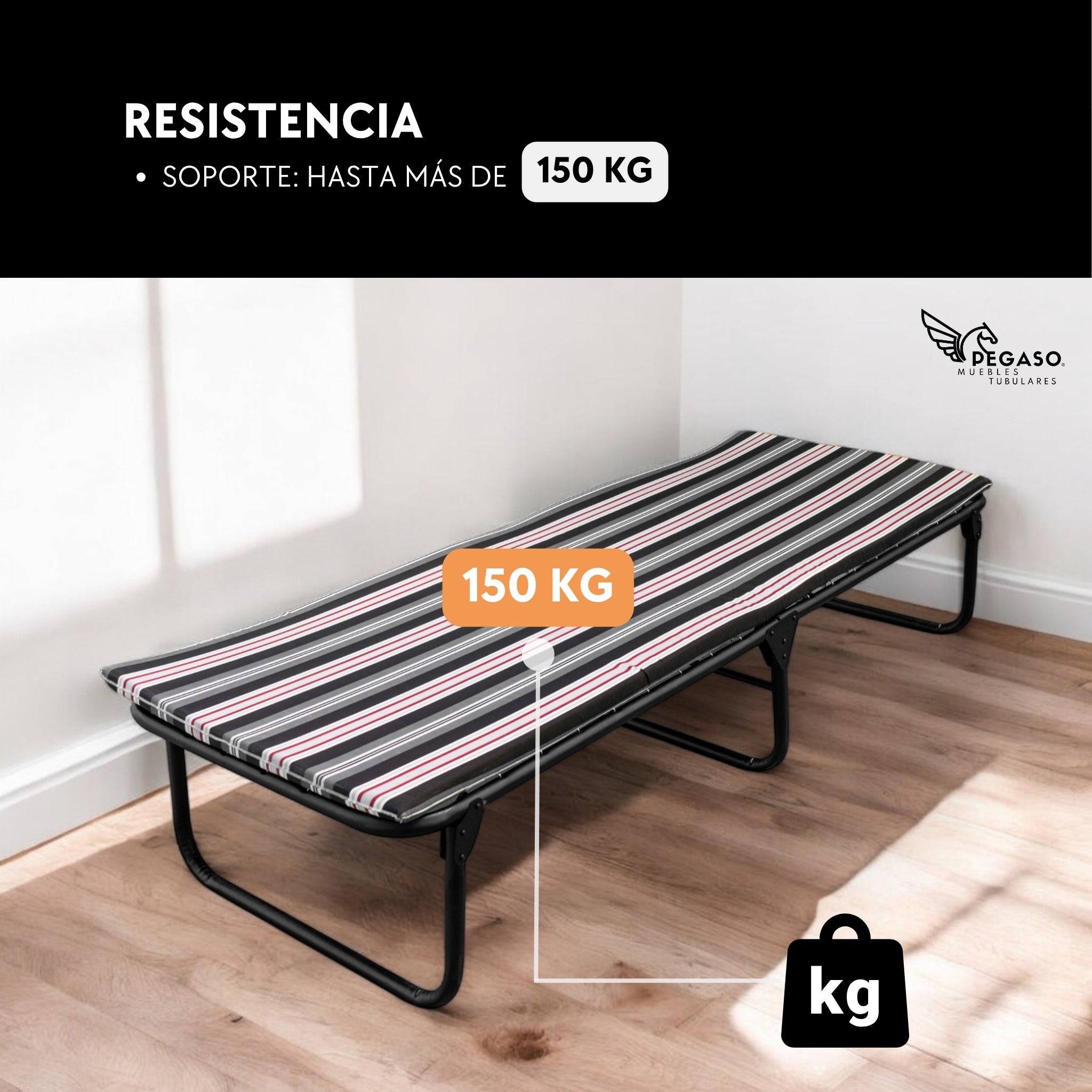 Catre Camastro Plegable / de Lona Reforzada + Colchón de Hule Espuma 3 cm (KSL-H)