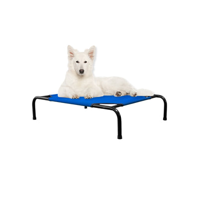 Cama Elevada para Perro tamaño Mediano, Desarmable (KM-MD-DES)