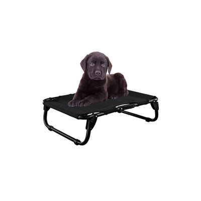 PEGASO Elevated Dog Bed for Small Dogs, 63x46x18.5 cm (Model KM-CH) 