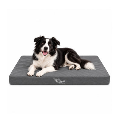 PEGASO Colchón para Mascota, Lona de Alta Resistencia, Impermeable, con cierre, 8 cm Grosor (CH, MD, GD, EG)