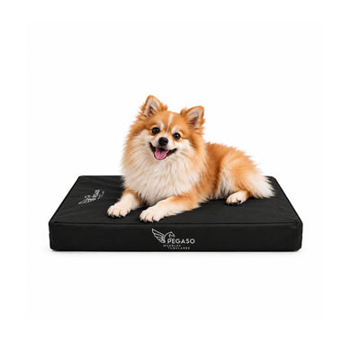 PEGASO Colchón para Mascota, Lona de Alta Resistencia, Impermeable, con cierre, 8 cm Grosor (CH, MD, GD, EG)