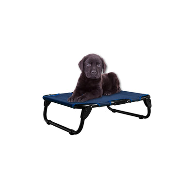 PEGASO Elevated Dog Bed for Small Dogs, 63x46x18.5 cm (Model KM-CH) 
