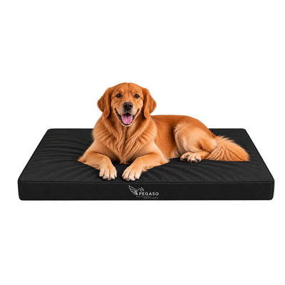 PEGASO Colchón para Mascota, Lona de Alta Resistencia, Impermeable, con cierre, 8 cm Grosor (CH, MD, GD, EG)