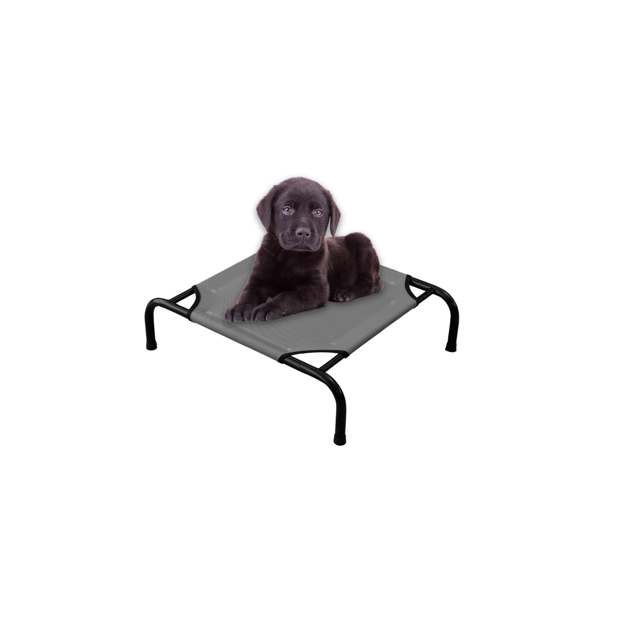 Cama Elevada para Perro tamaño Chico, Desarmable (KM-CH-DES)