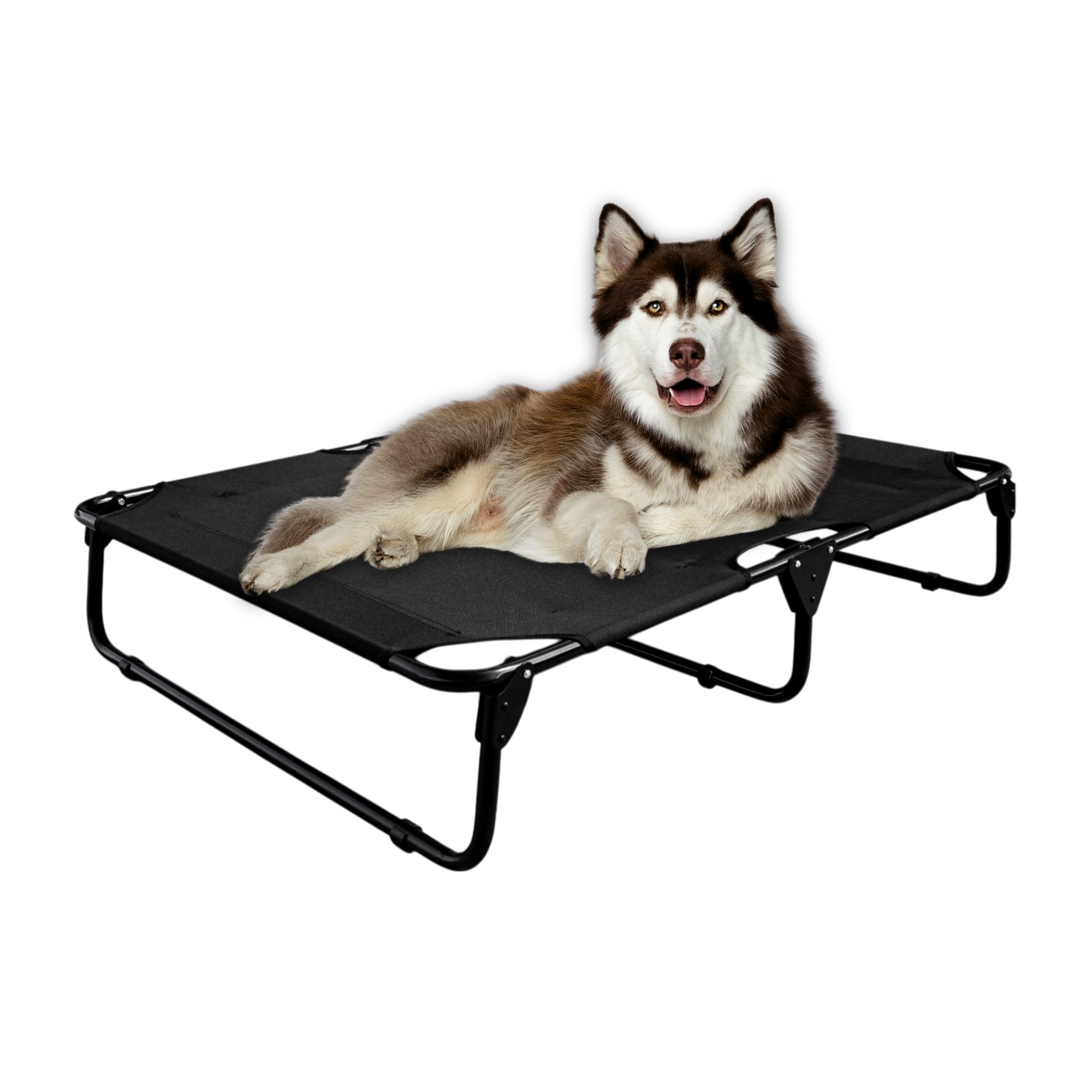 PEGASO Cama Elevada para Perro tamaño Extra Grande, 122x92x18 cm (Mod KM-EG)