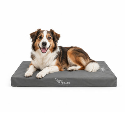 PEGASO Colchón para Mascota, Lona de Alta Resistencia, Impermeable, con cierre, 8 cm Grosor (CH, MD, GD, EG)