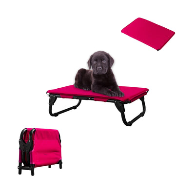 PEGASO KIT Cama/Catre + Colchoneta para Perro tamaño Chico, 63 x 46.5 x 18.5 cm (Mod KM-CH)