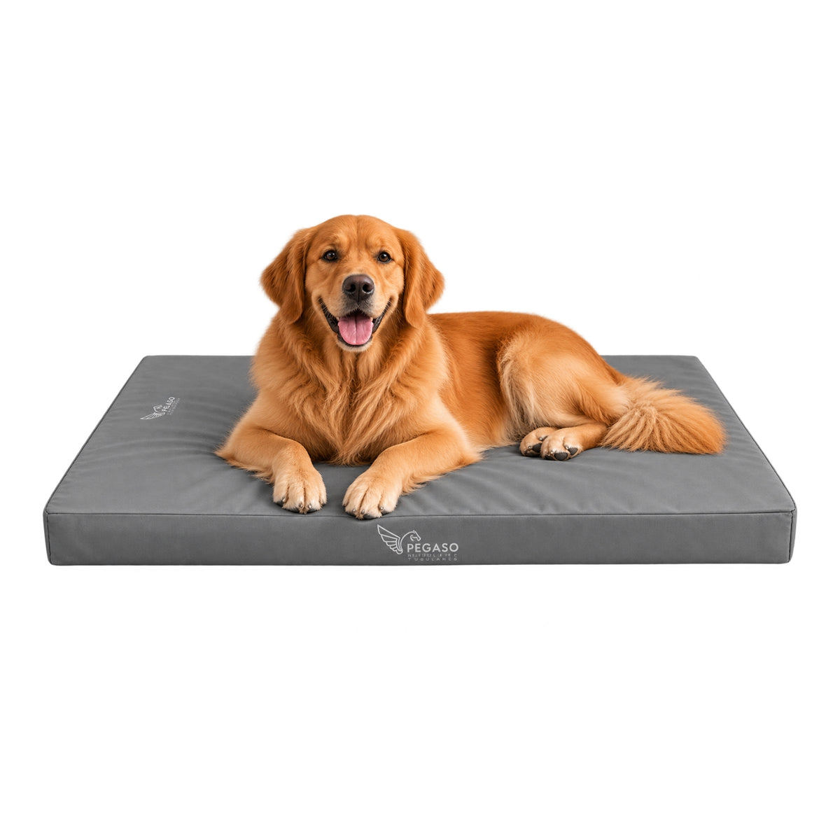 PEGASO Colchón para Mascota, Lona de Alta Resistencia, Impermeable, con cierre, 8 cm Grosor (CH, MD, GD, EG)