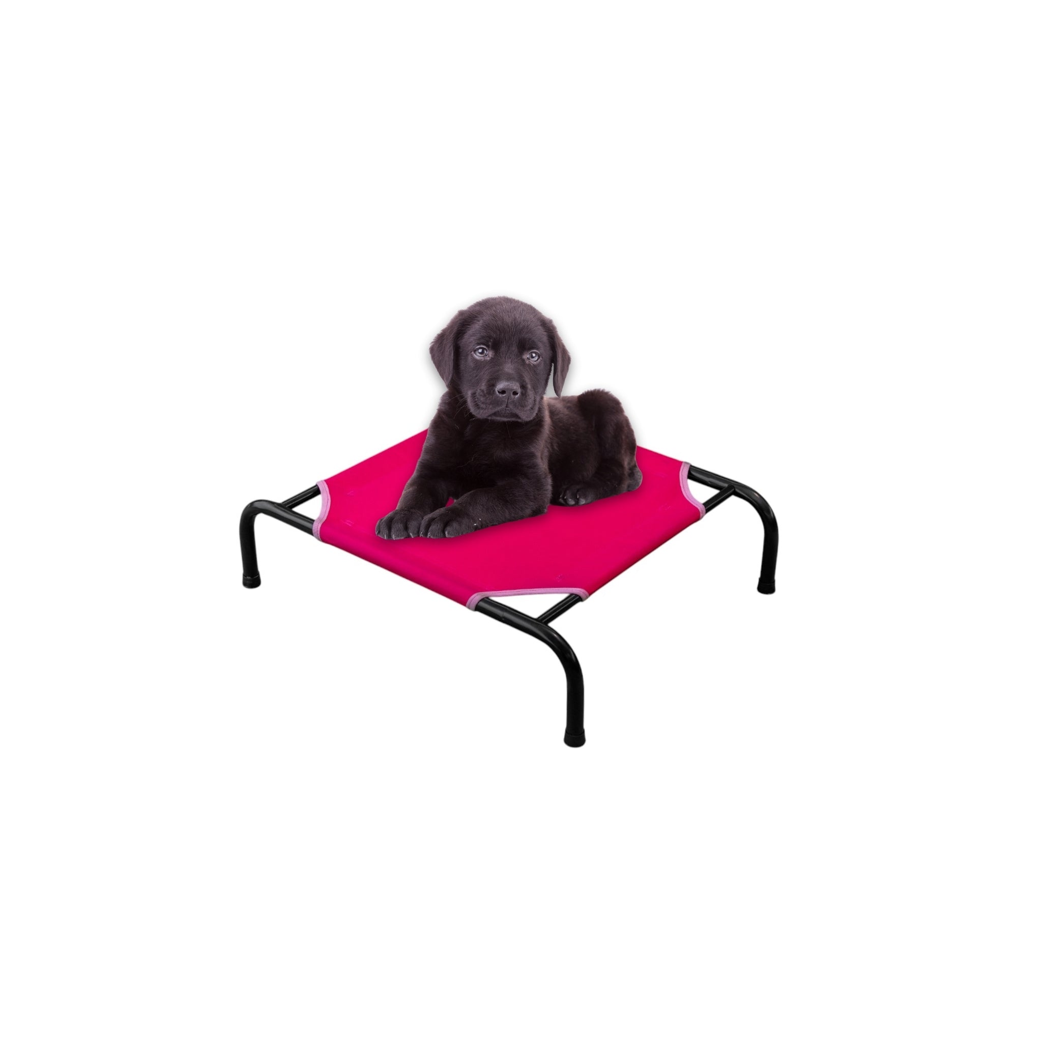 Cama Elevada para Perro tamaño Chico, Desarmable (KM-CH-DES)