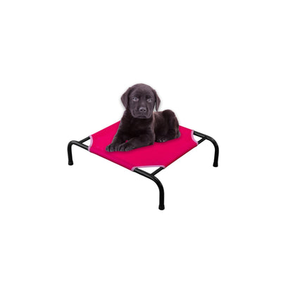 Cama Elevada para Perro tamaño Chico, Desarmable (KM-CH-DES)