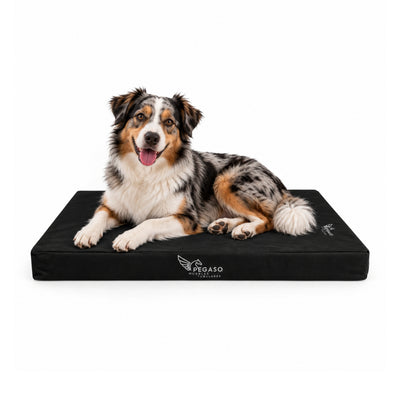 PEGASO Colchón para Mascota, Lona de Alta Resistencia, Impermeable, con cierre, 8 cm Grosor (CH, MD, GD, EG)