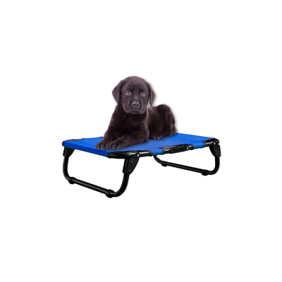 PEGASO Elevated Dog Bed for Small Dogs, 63x46x18.5 cm (Model KM-CH) 