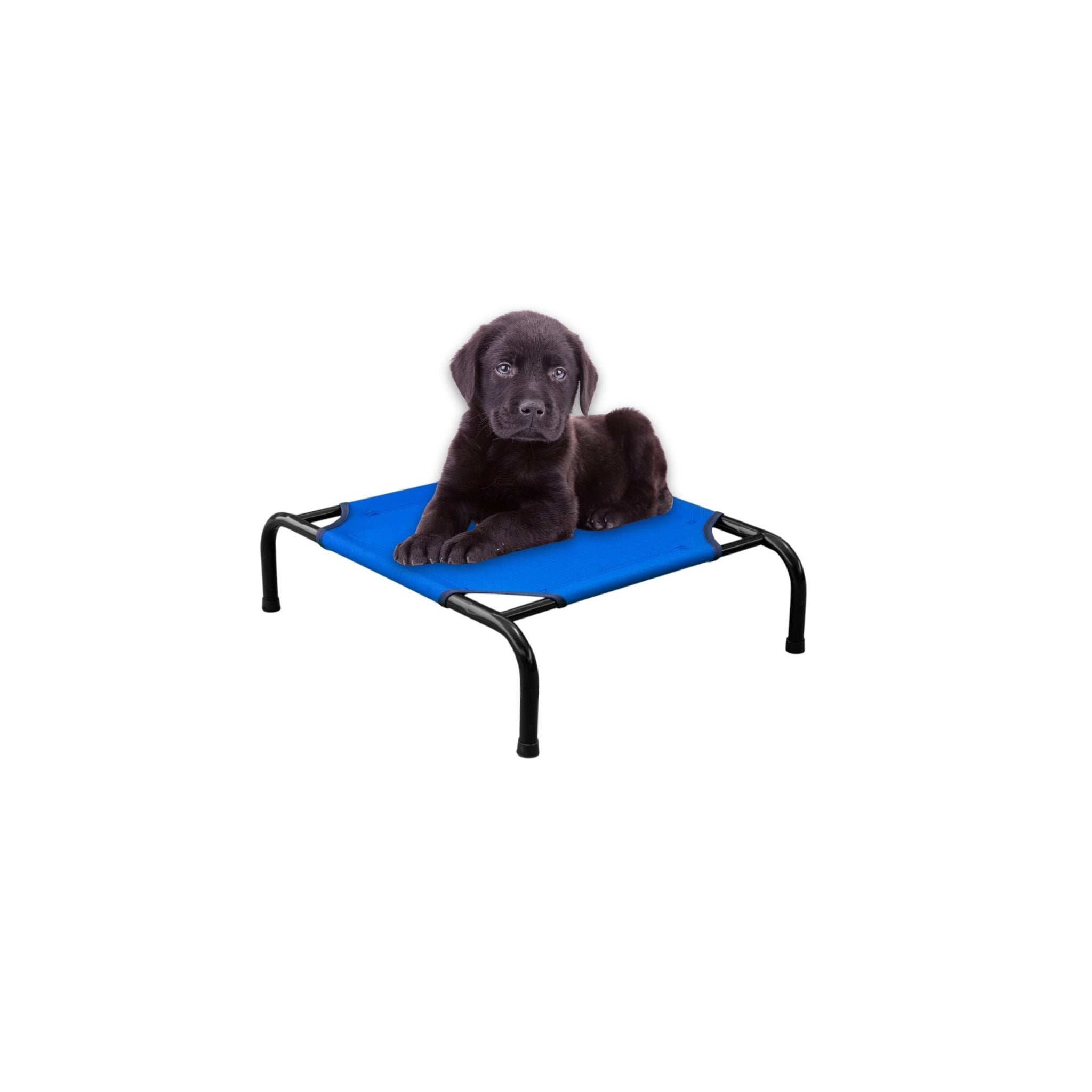 Cama Elevada para Perro tamaño Chico, Desarmable (KM-CH-DES)