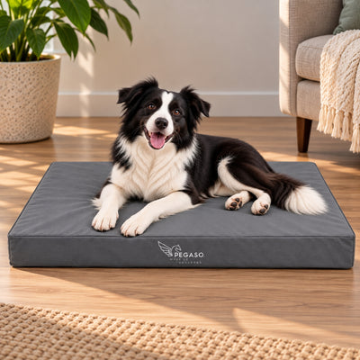PEGASO Colchón para Mascota, Lona de Alta Resistencia, Impermeable, con cierre, 8 cm Grosor (CH, MD, GD, EG)