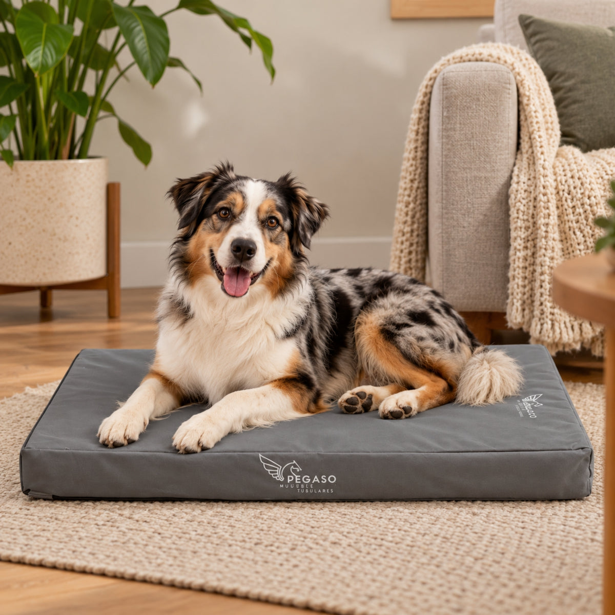 PEGASO Colchón para Mascota, Lona de Alta Resistencia, Impermeable, con cierre, 8 cm Grosor (CH, MD, GD, EG)