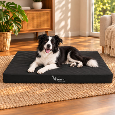 PEGASO Colchón para Mascota, Lona de Alta Resistencia, Impermeable, con cierre, 8 cm Grosor (CH, MD, GD, EG)