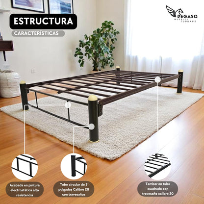 Base Individual Pegaso – Practica