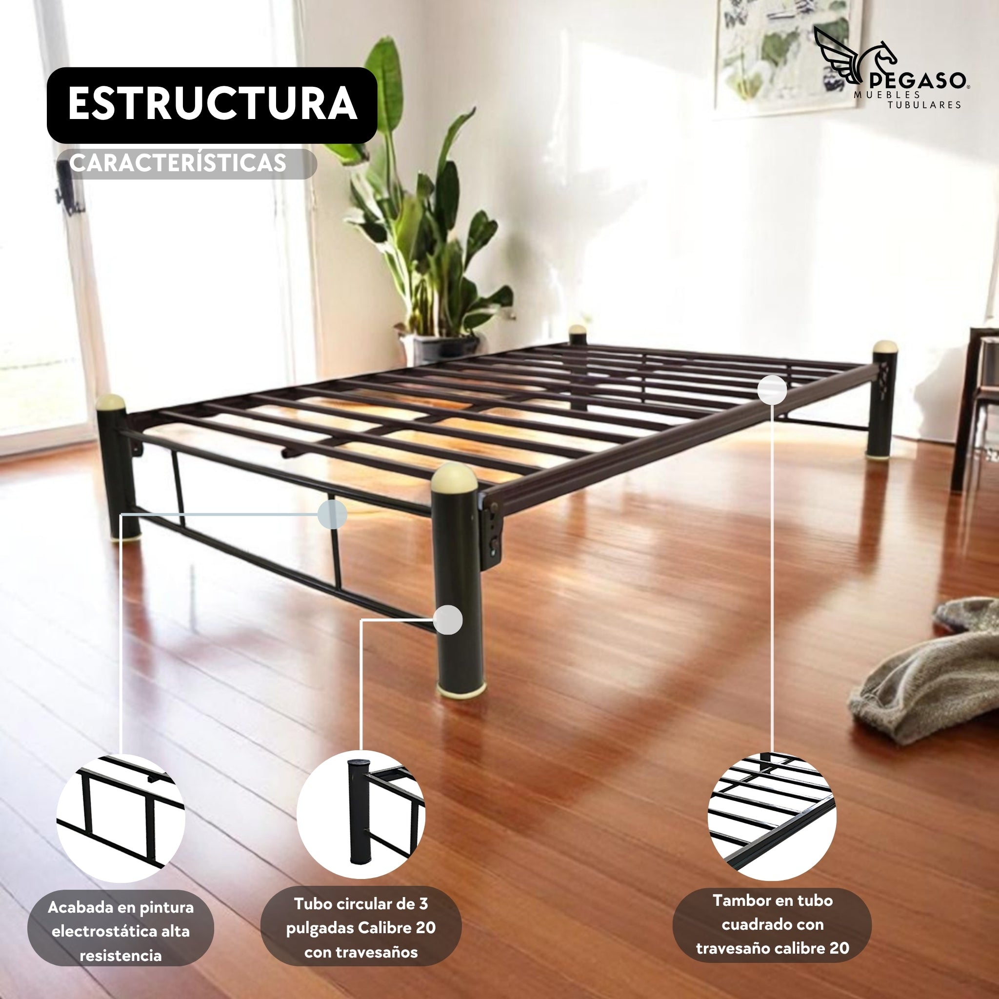 Base Matrimonial Pegaso – Practica